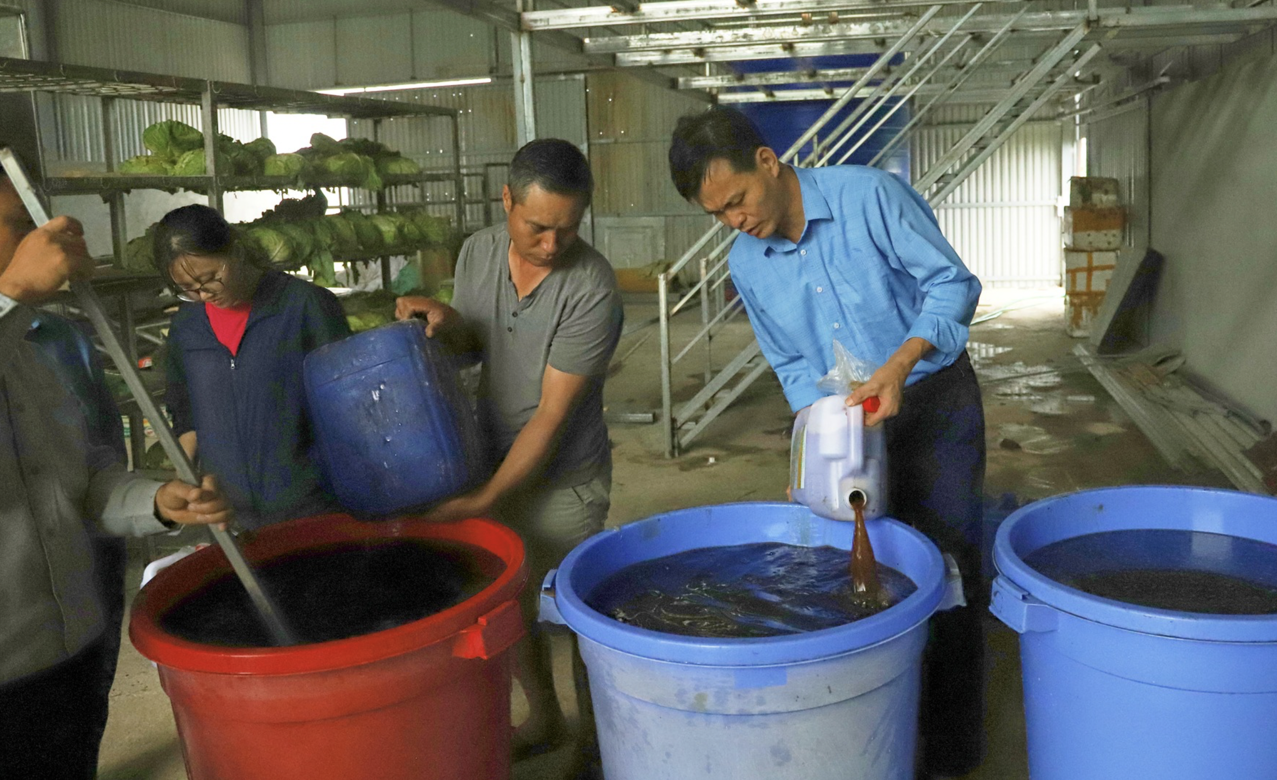 Thực hành nhân sinh khối từ vi sinh gốc VietFarm